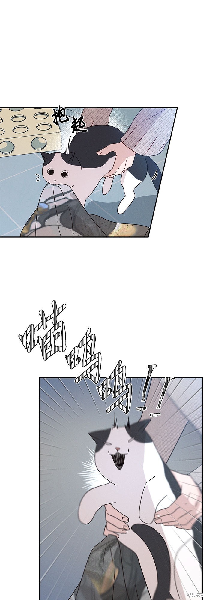 KISS女王 第35话 第48页