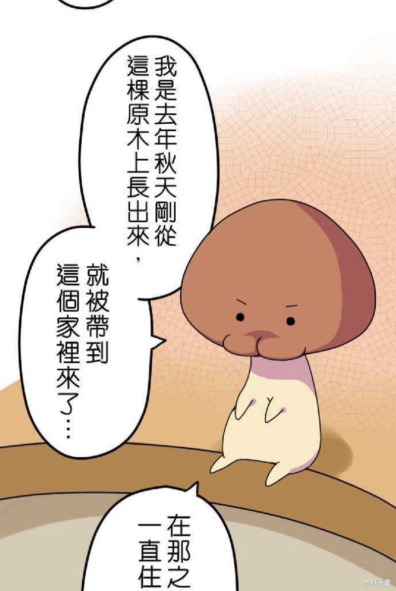 香菇君，你在做什么? 第2话 第5页