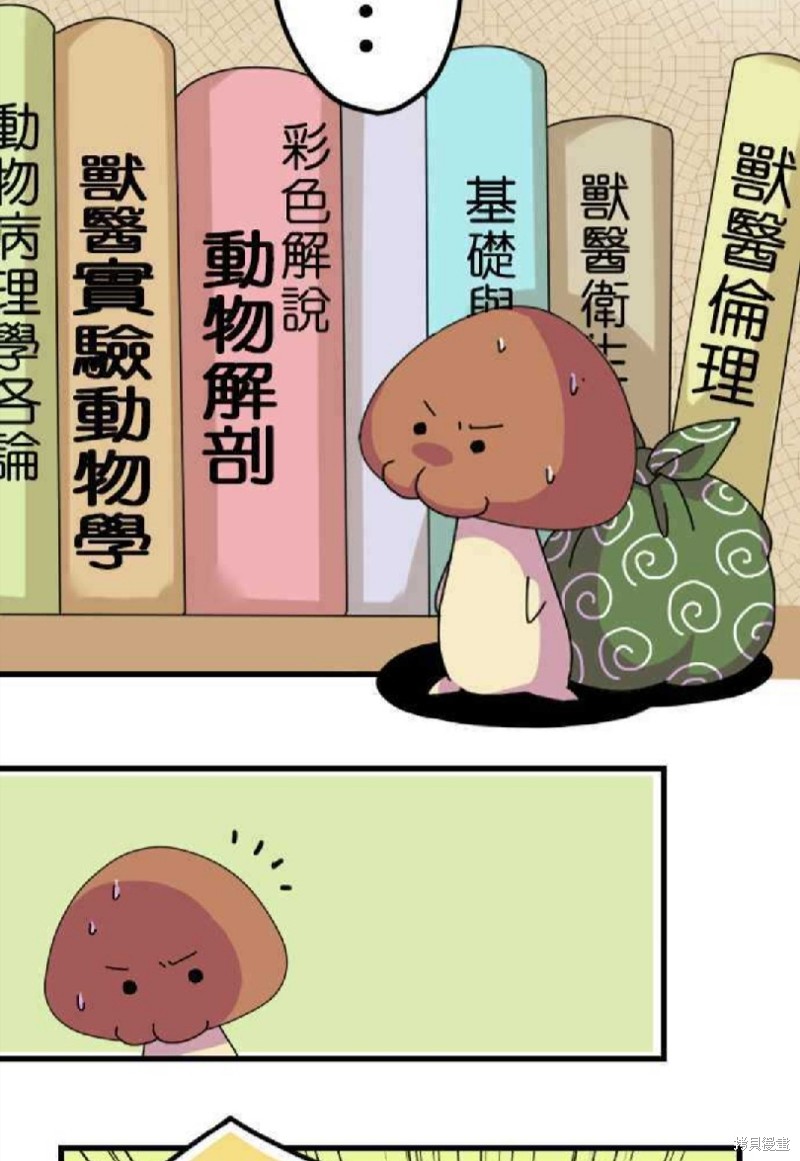 香菇君，你在做什么? 第3话 第3页