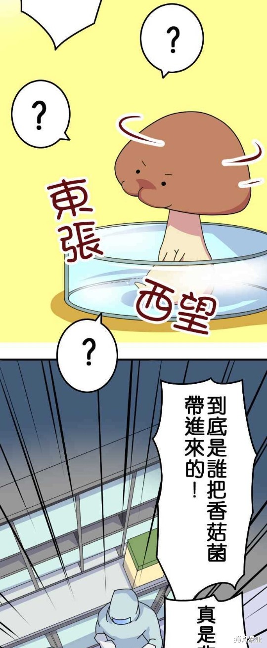 香菇君，你在做什么? 第14话 第12页
