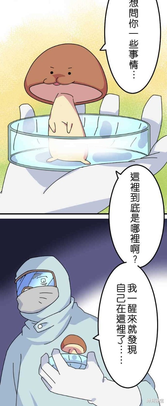 香菇君，你在做什么? 第14话 第14页