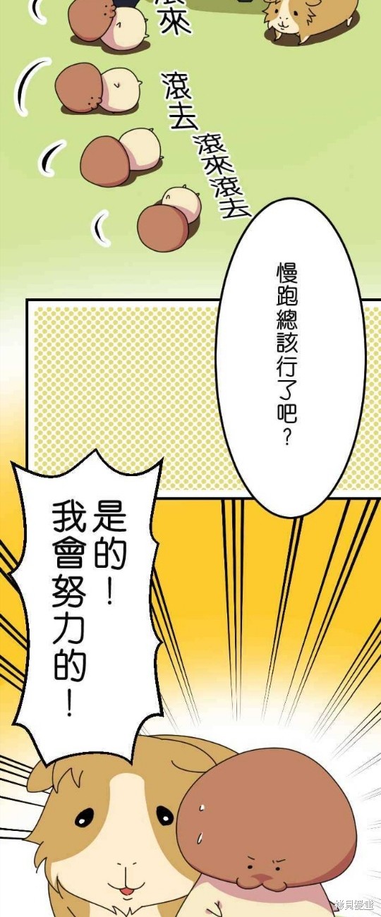 香菇君，你在做什么? 第17话 第4页