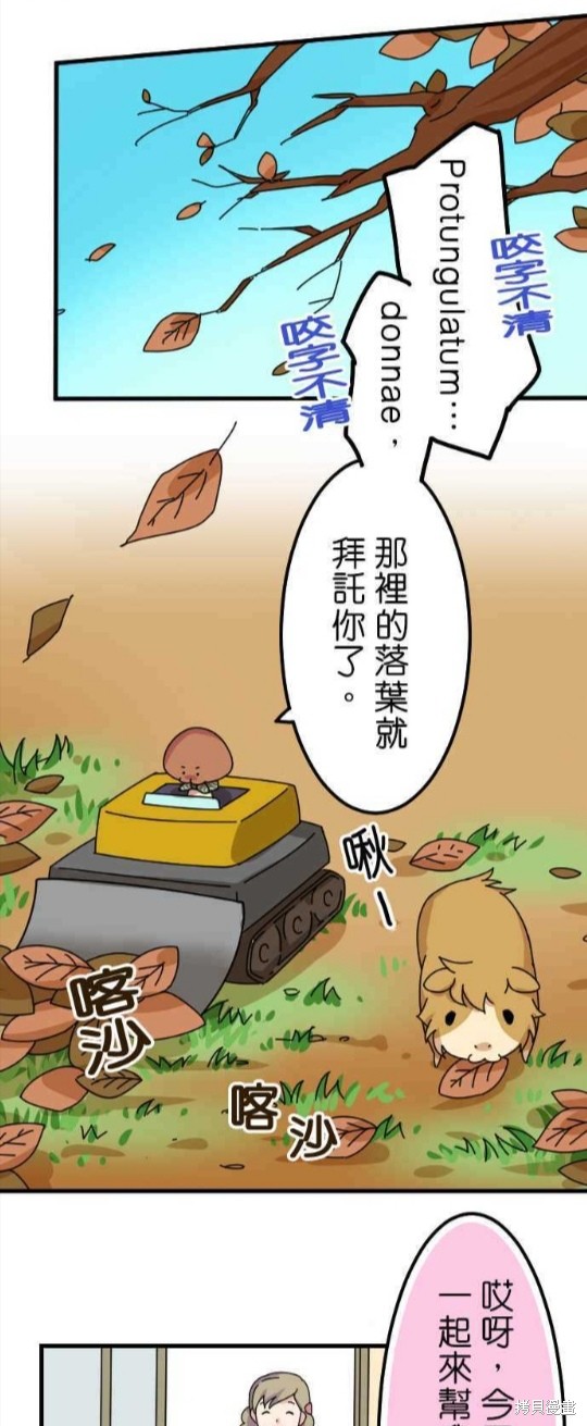 香菇君，你在做什么? 第26话 第11页
