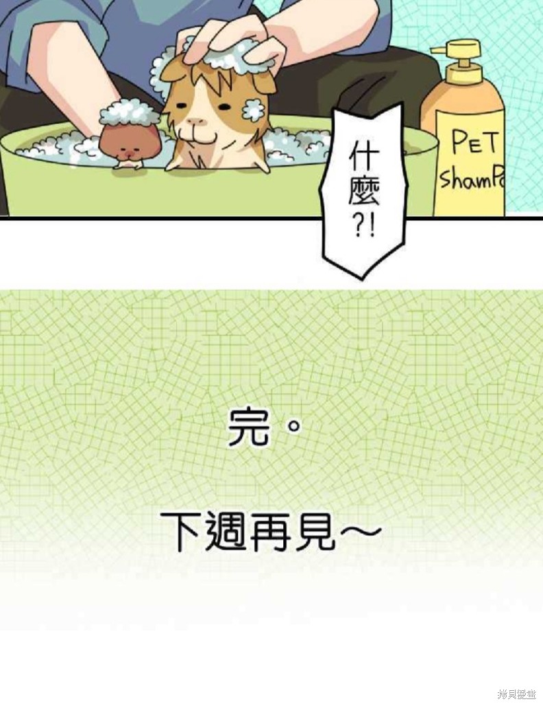 香菇君，你在做什么? 第26话 第30页