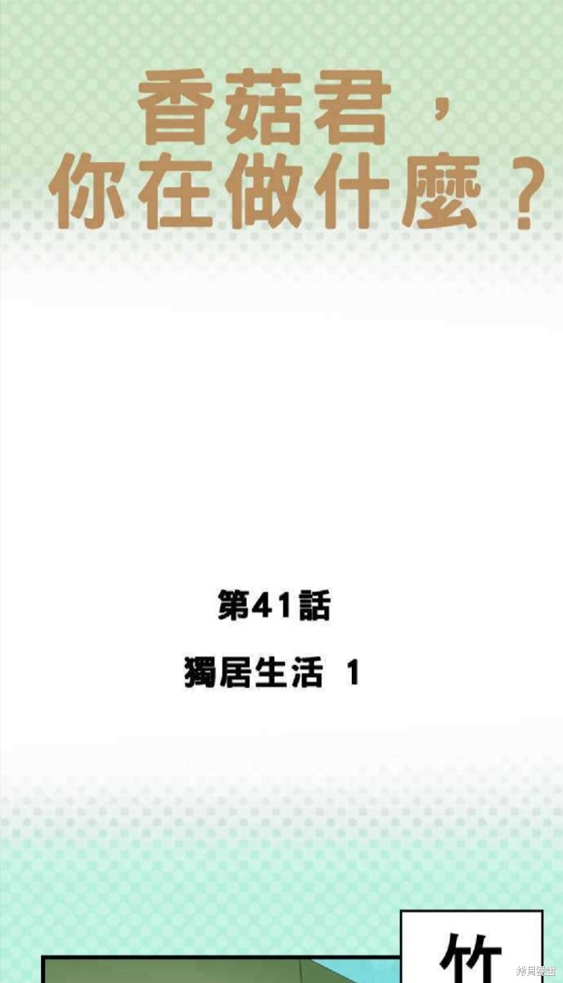 香菇君，你在做什么? 第41话 第1页