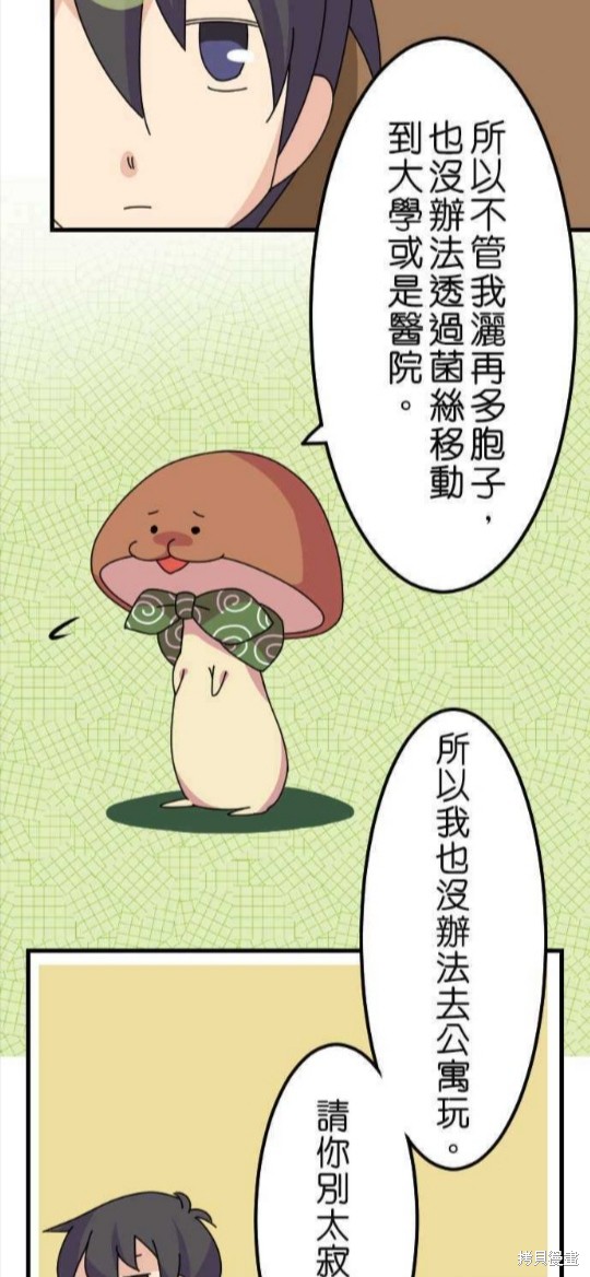 香菇君，你在做什么? 第42话 第16页