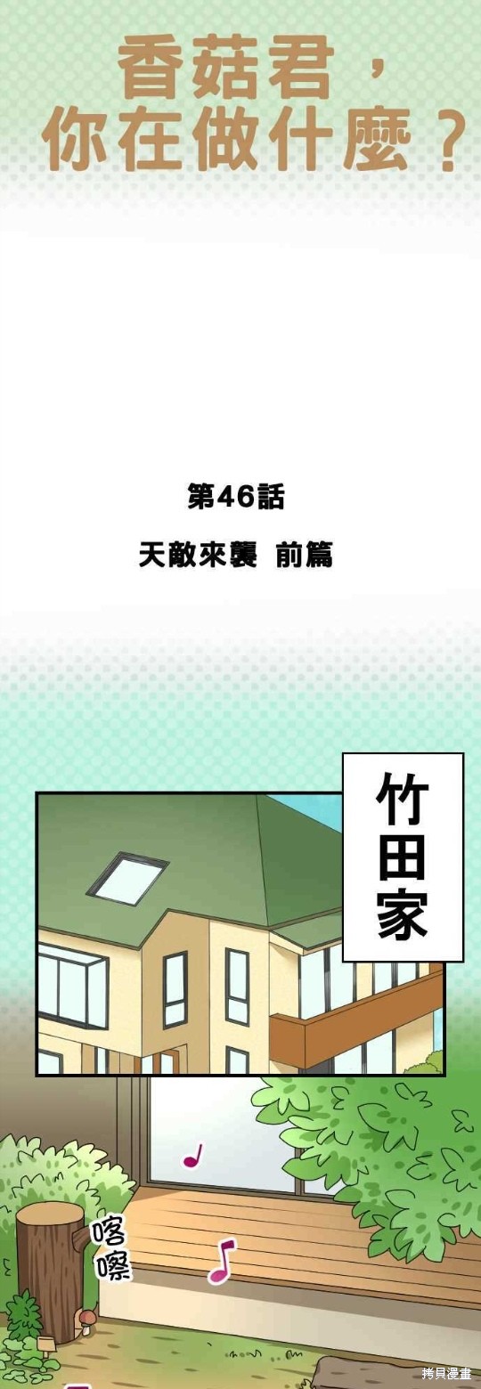 香菇君，你在做什么? 第46话 第1页