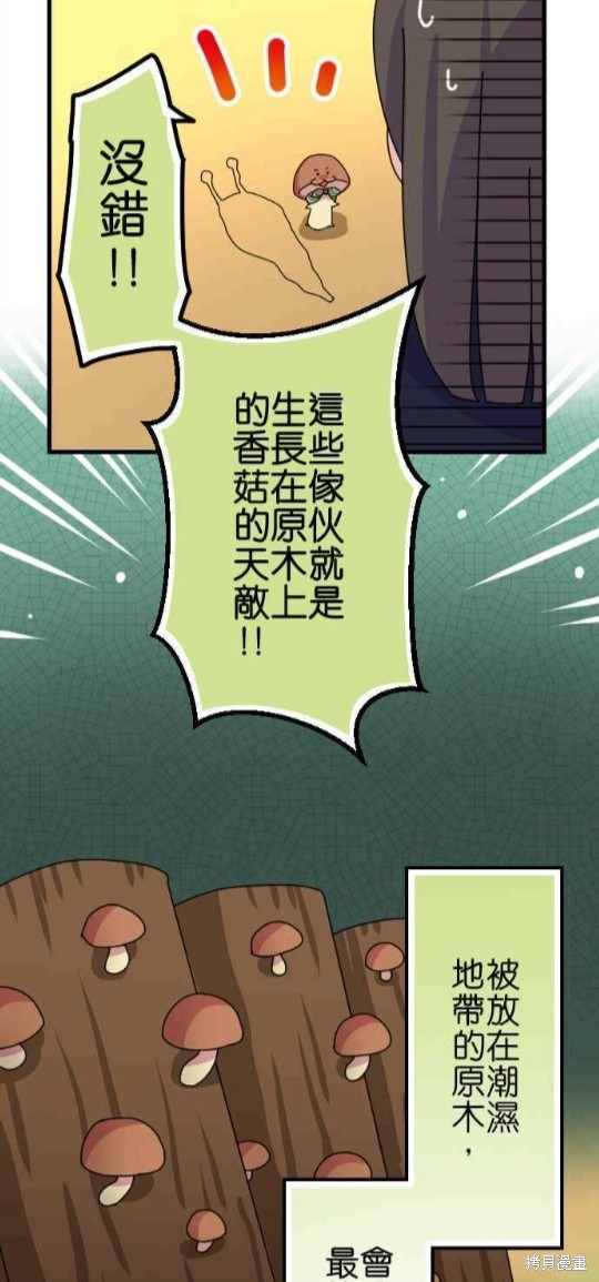 香菇君，你在做什么? 第46话 第15页
