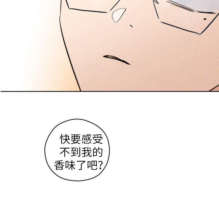 荷尔蒙香水 第15话 第6页