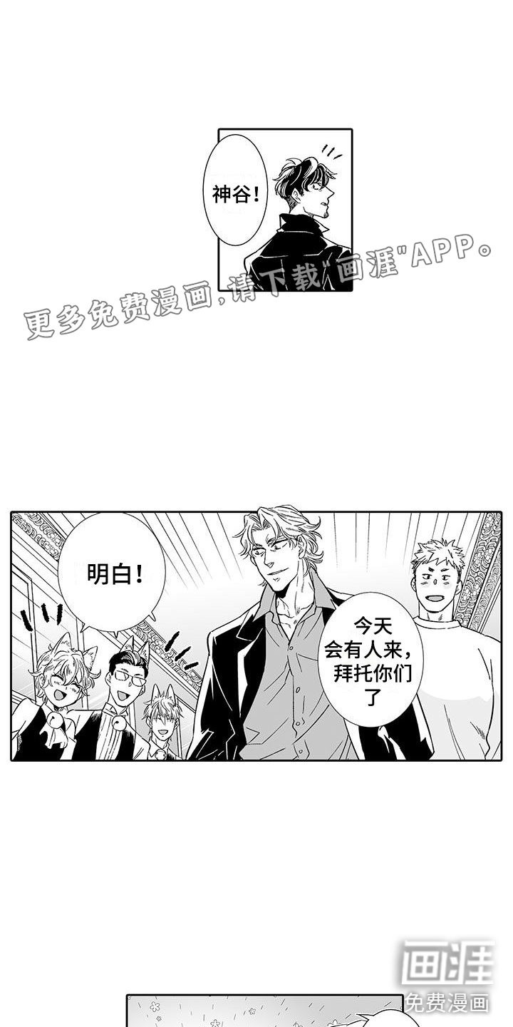 我的小奶猫 第13话 第18页