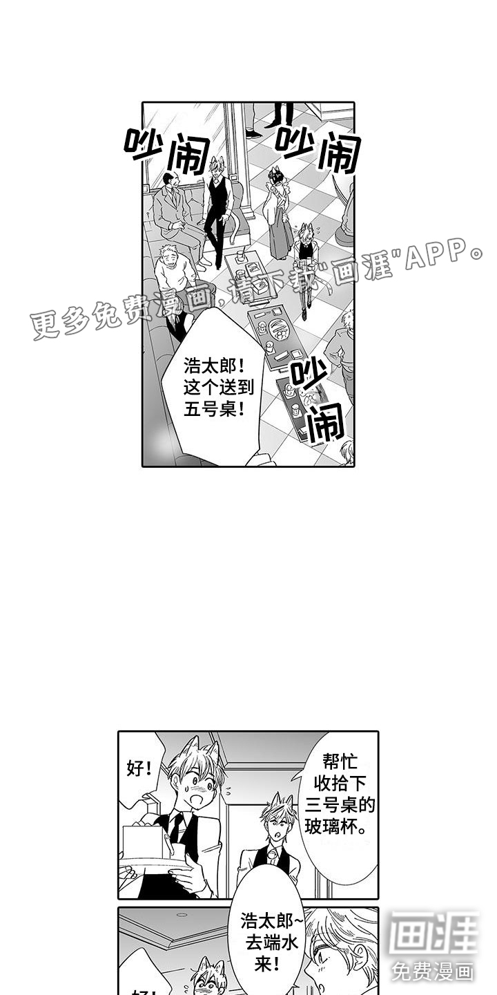 我的小奶猫 第7话 第12页