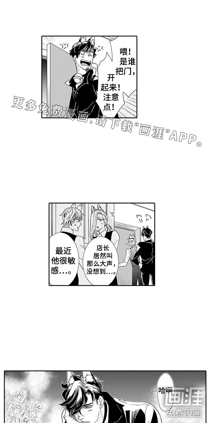 我的小奶猫 第18话 第18页