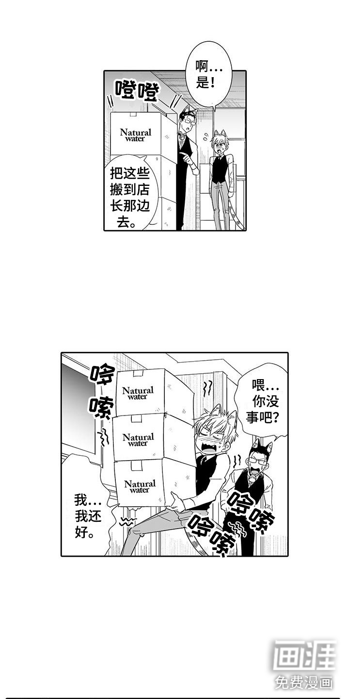 我的小奶猫 第16话 第16页