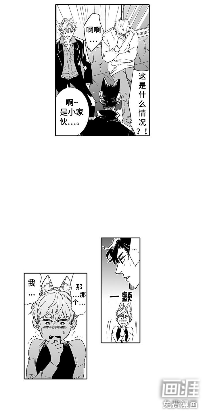 我的小奶猫 第13话 第13页