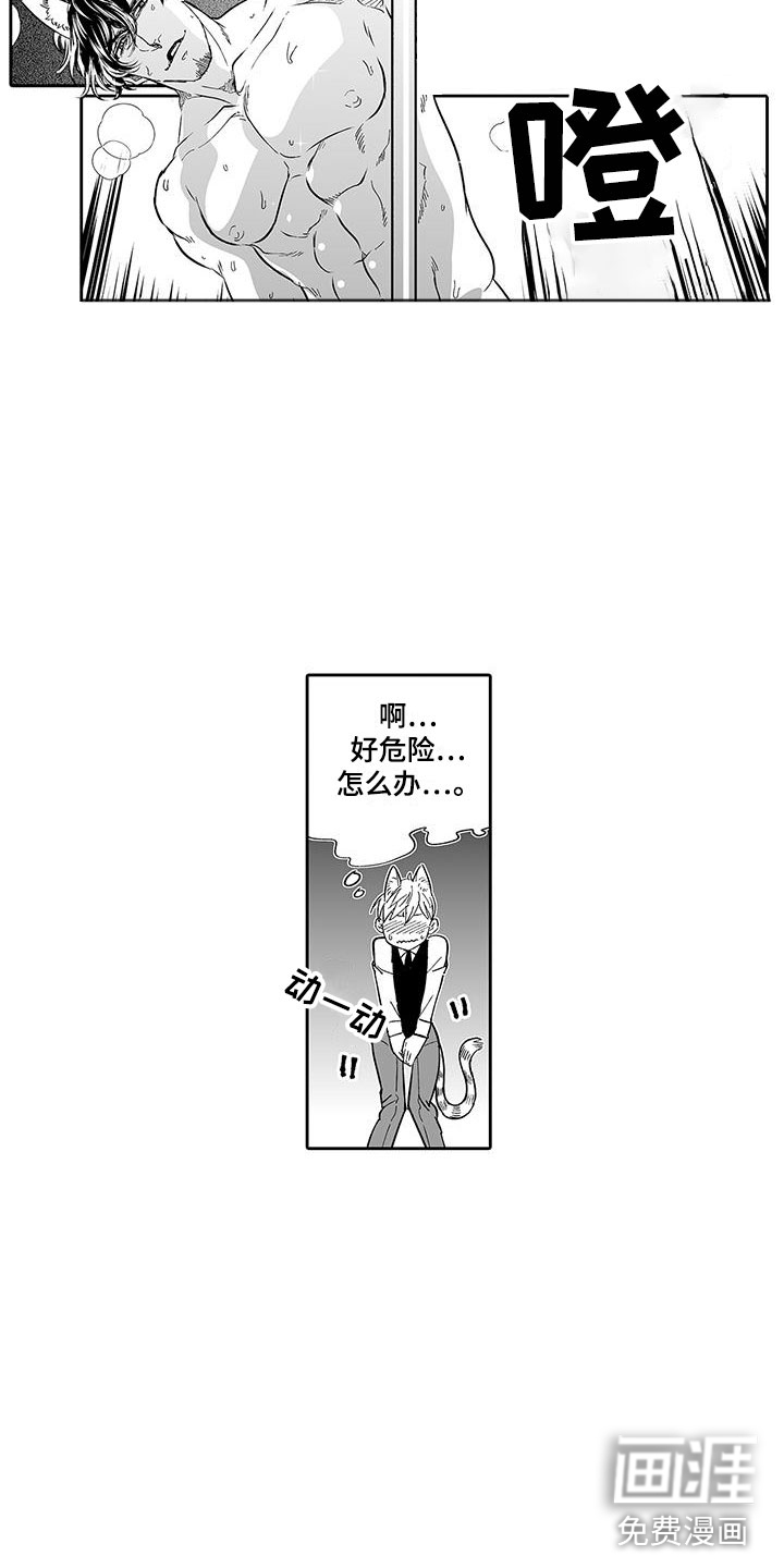 我的小奶猫 第7话 第7页