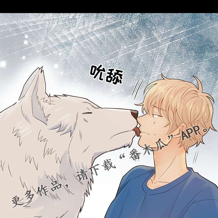 阿尔法监狱 第40话 第20页