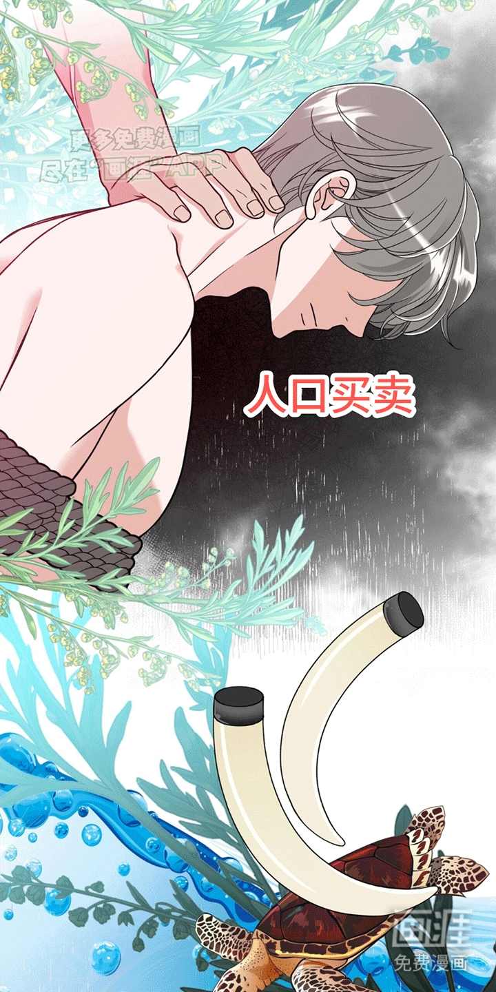 花样间谍 第3话 第26页