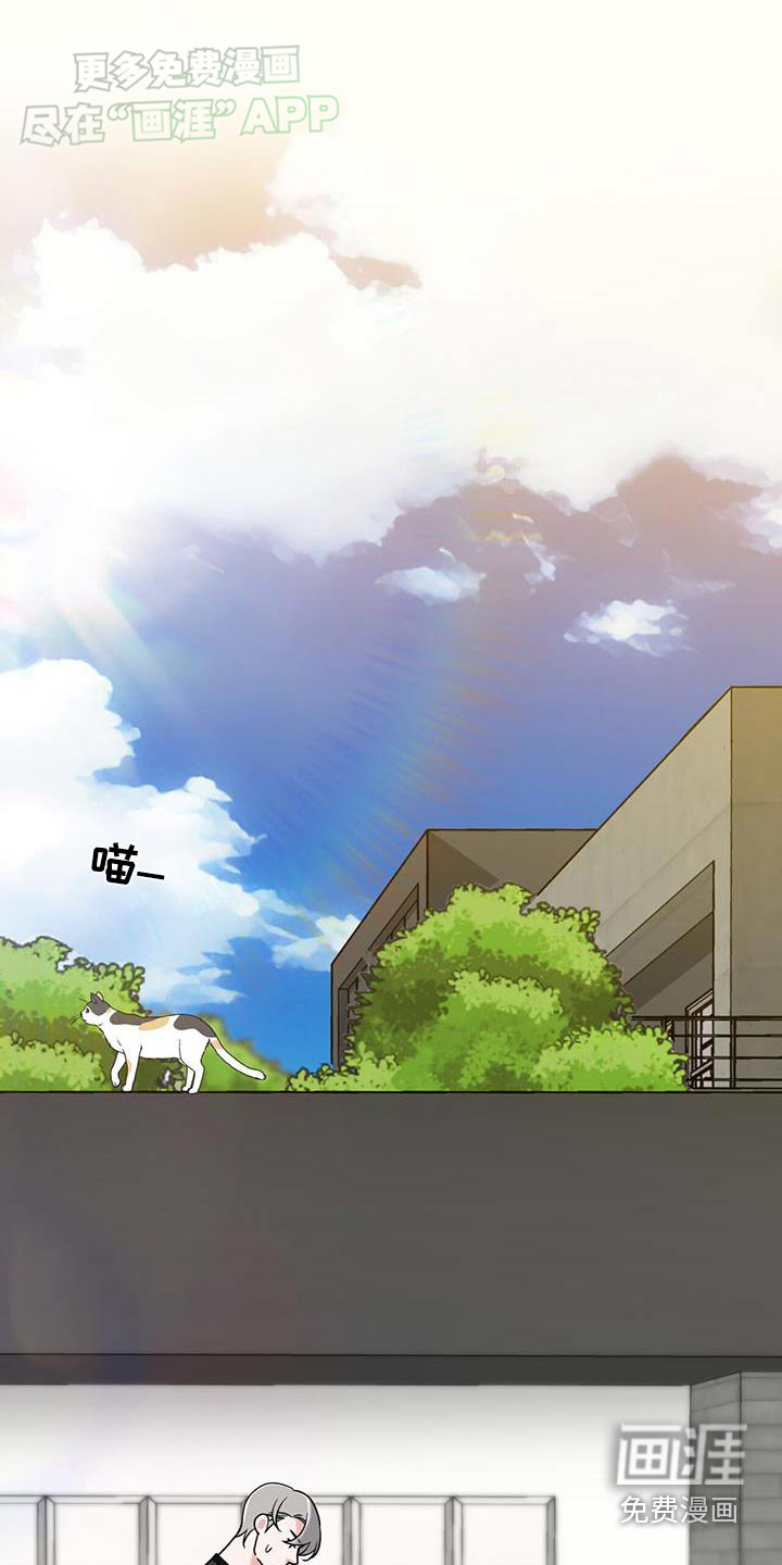 花样间谍 第9话 第5页