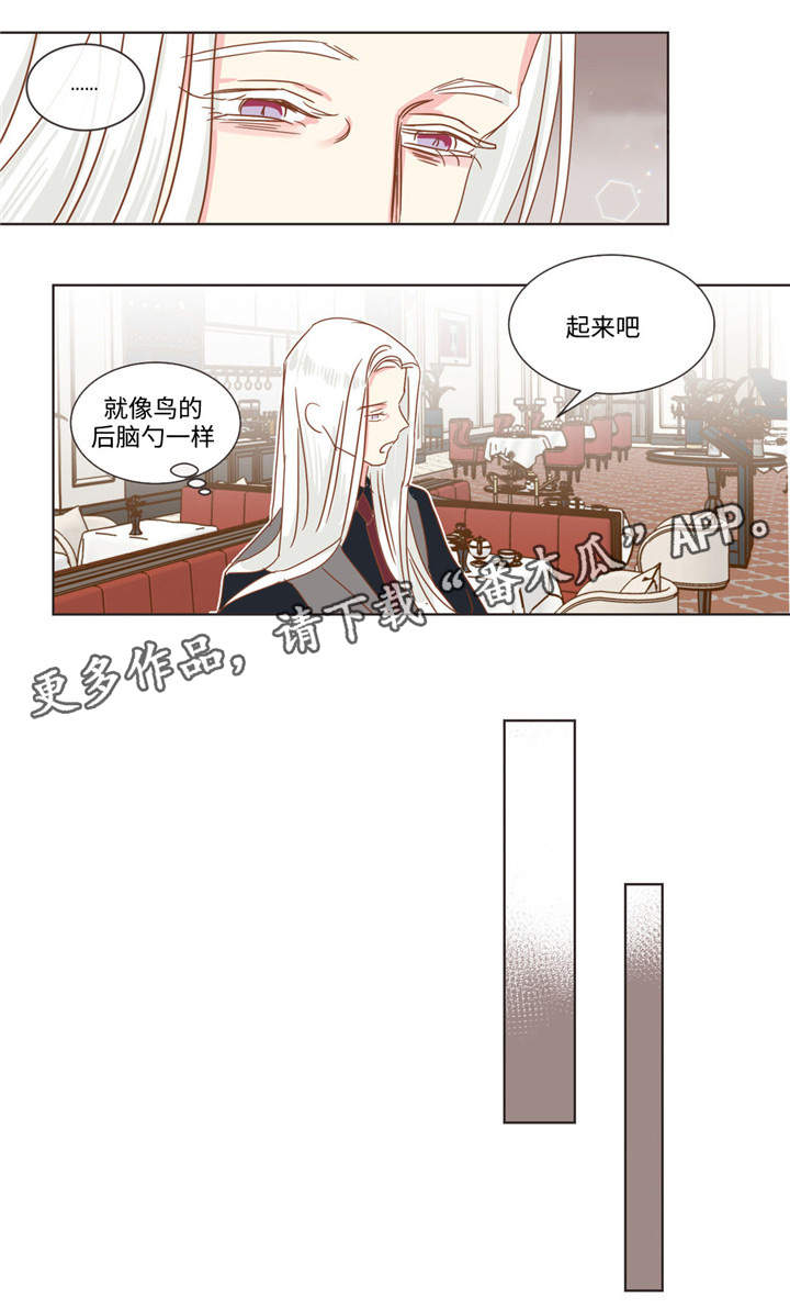 蛇族烙印 第60章:十个问题 第10页