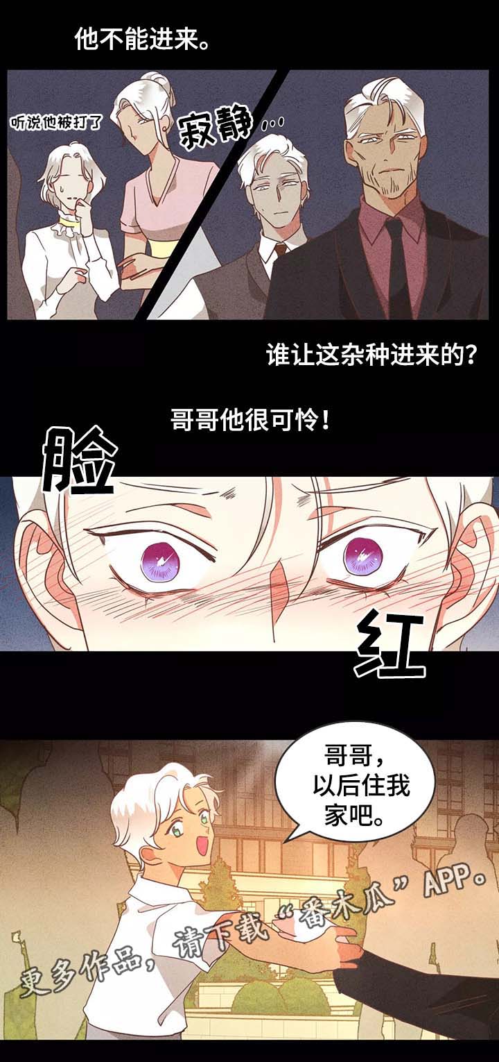 蛇族烙印 第95章:别再插手我的爱情 第1页