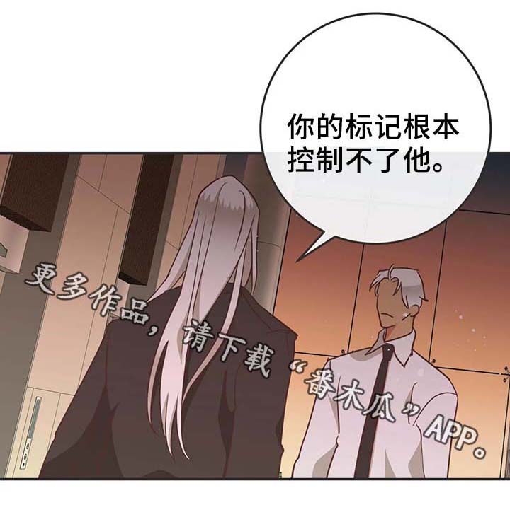 蛇族烙印 第96章:只是因为讨厌 第7页