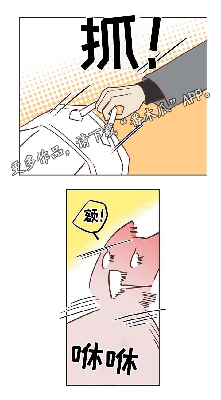 蛇族烙印 第104章:冤大头 第3页