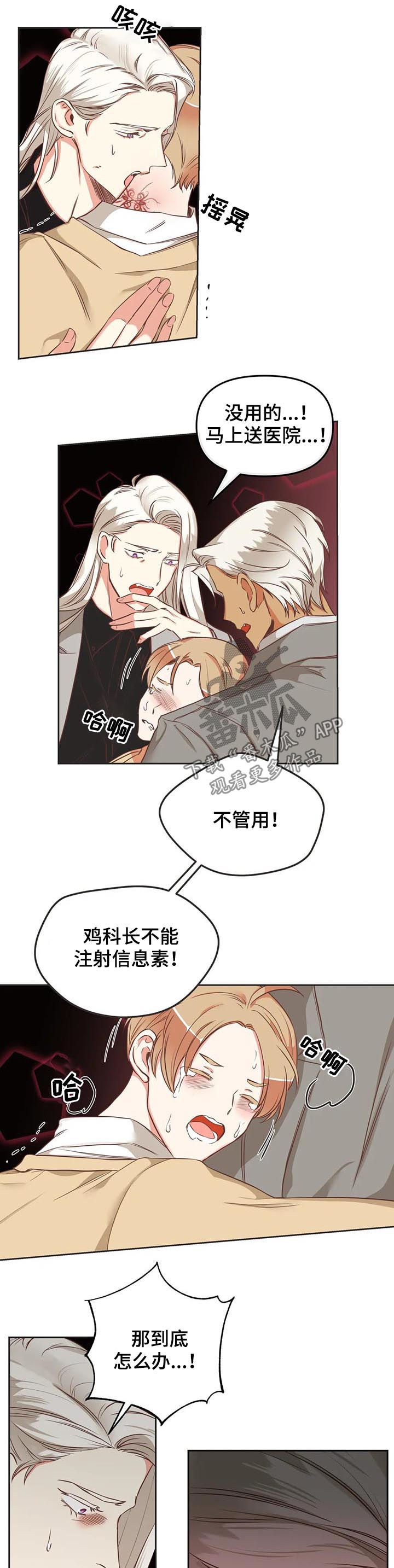蛇族烙印 第136章:你先出去 第11页