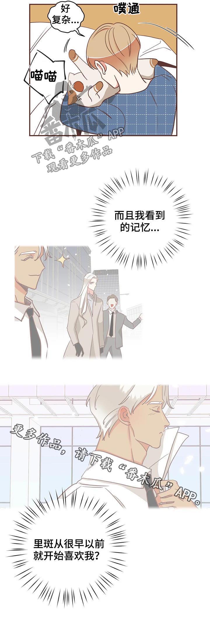 蛇族烙印 第140章:算账 第12页