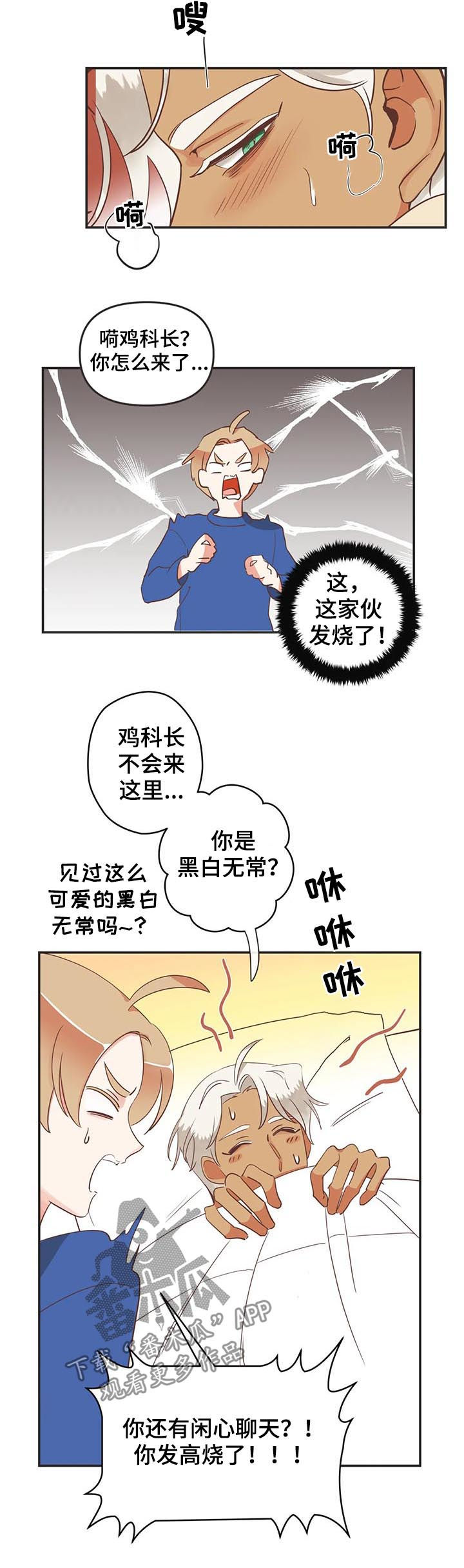 蛇族烙印 第141章:发烧 第8页