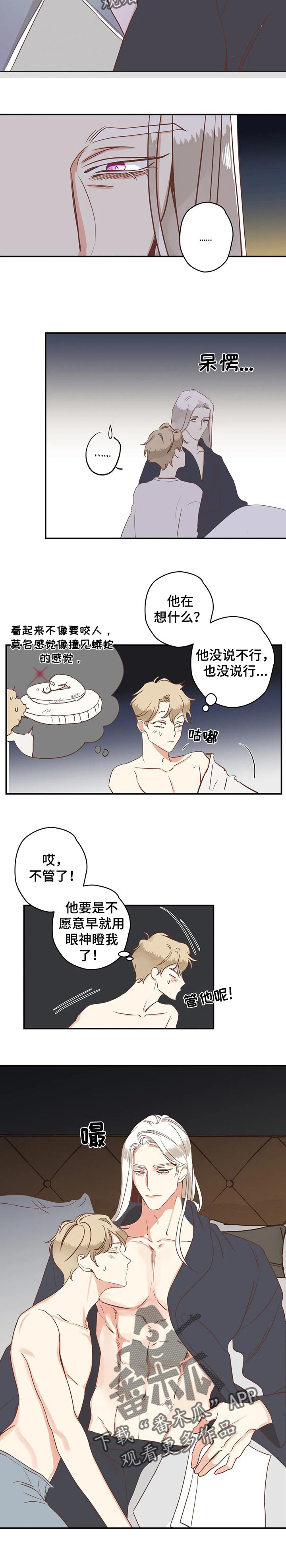 蛇族烙印 第151章:归处在哪里 第9页