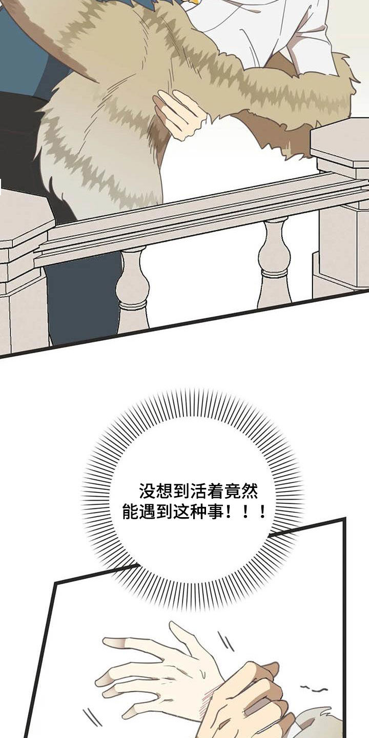 蛇族烙印 第175章:【番外】骚扰 第25页