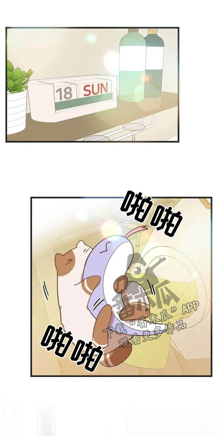 蛇族烙印 第179章:【番外】同居 第2页