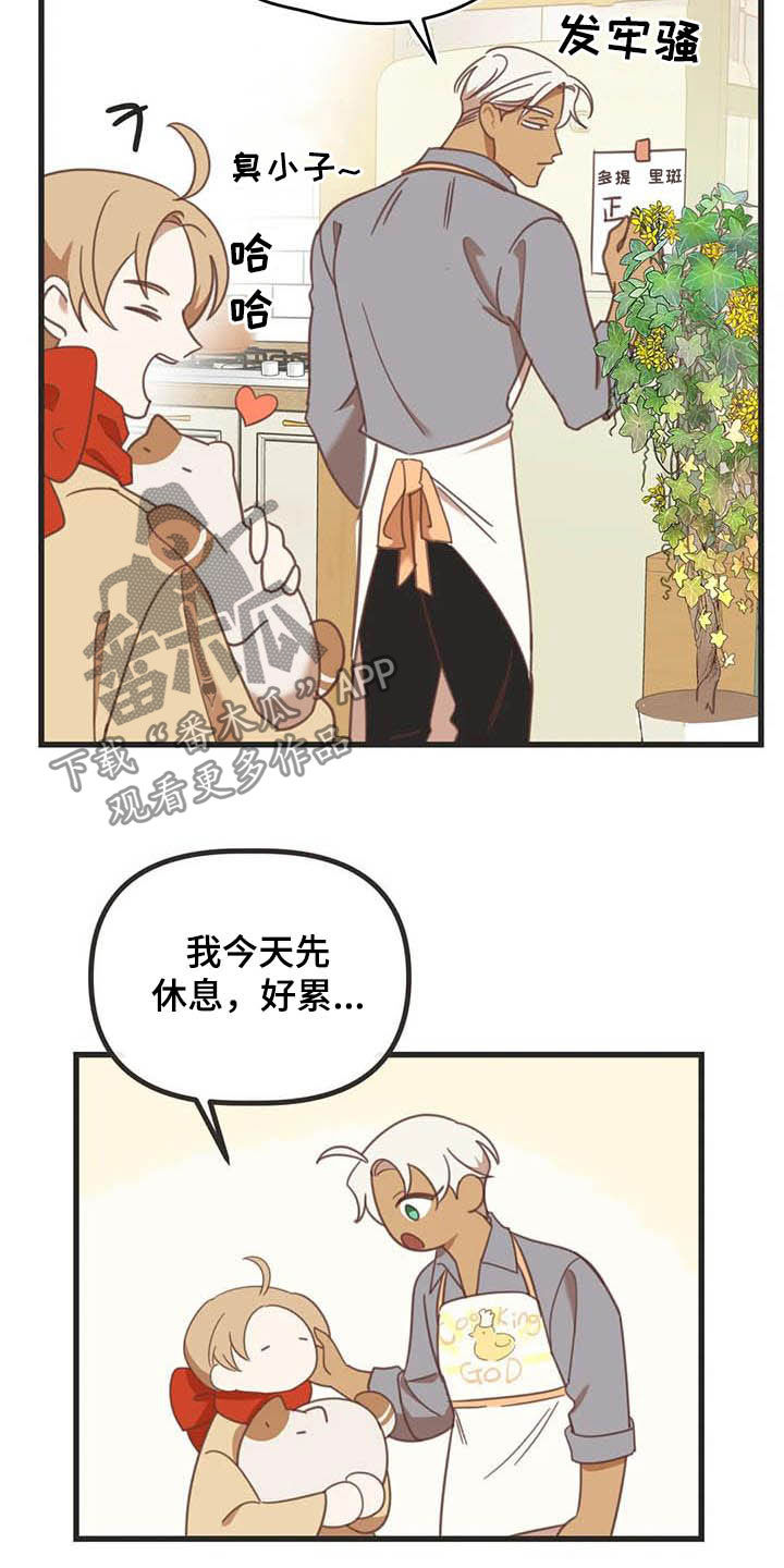 蛇族烙印 第179章:【番外】同居 第24页