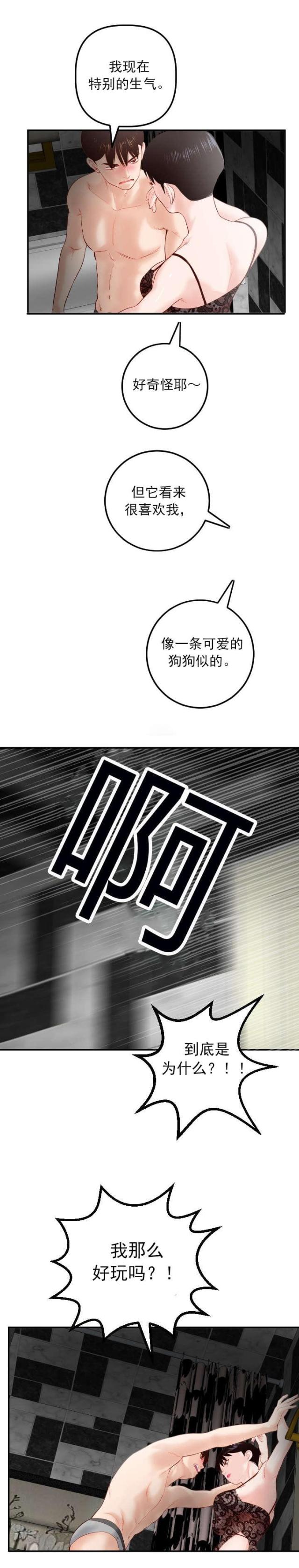 黑房 第49话 第13页