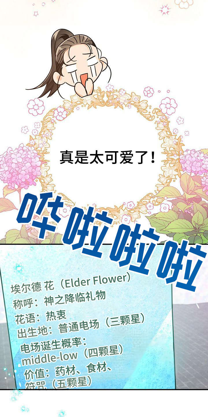 无限钻石 第16章:珍稀 第7页