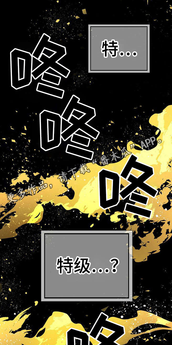 无限钻石 第21章:特级 第5页