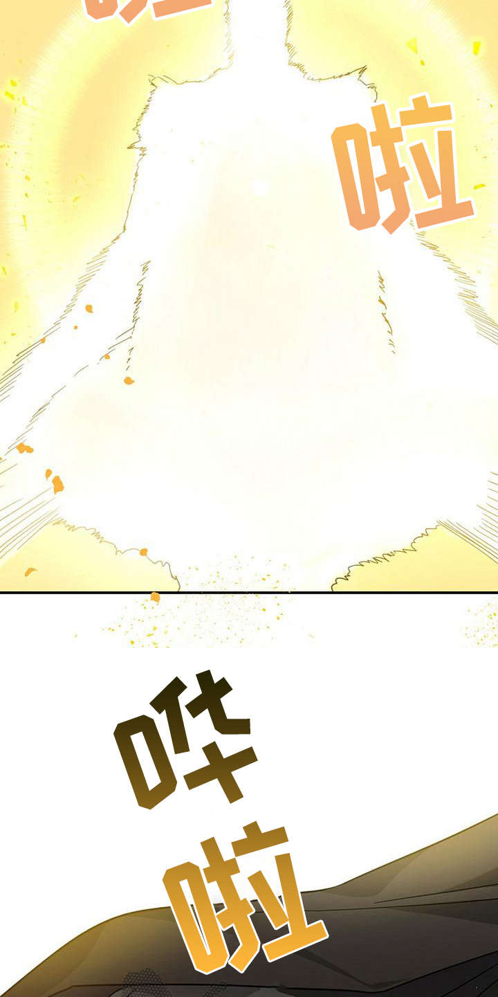 无限钻石 第22章:骑士 第2页