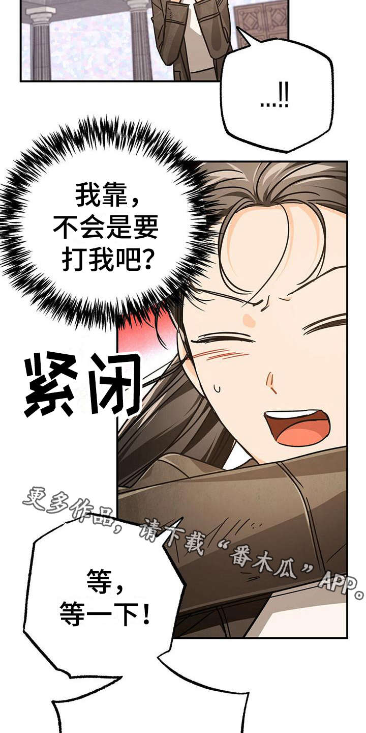 无限钻石 第22章:骑士 第13页