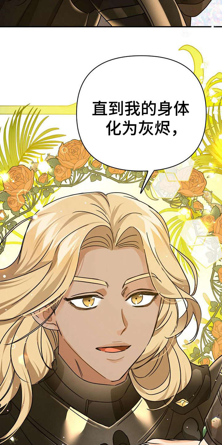 无限钻石 第22章:骑士 第19页