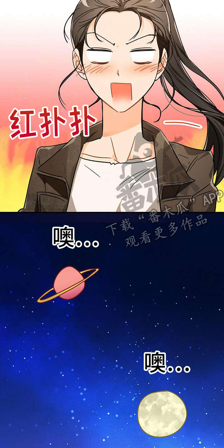 无限钻石 第22章:骑士 第21页