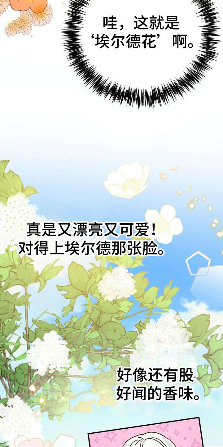 无限钻石 第26章:返回旅馆 第3页
