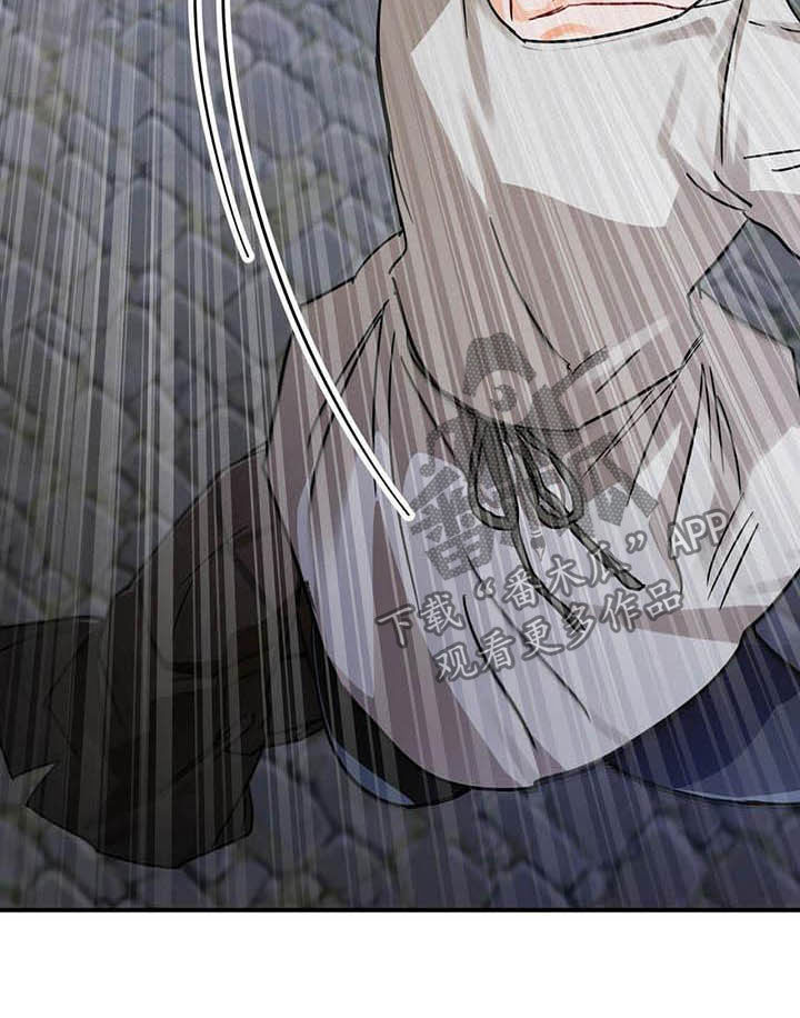 无限钻石 第32章:舍身相救 第18页