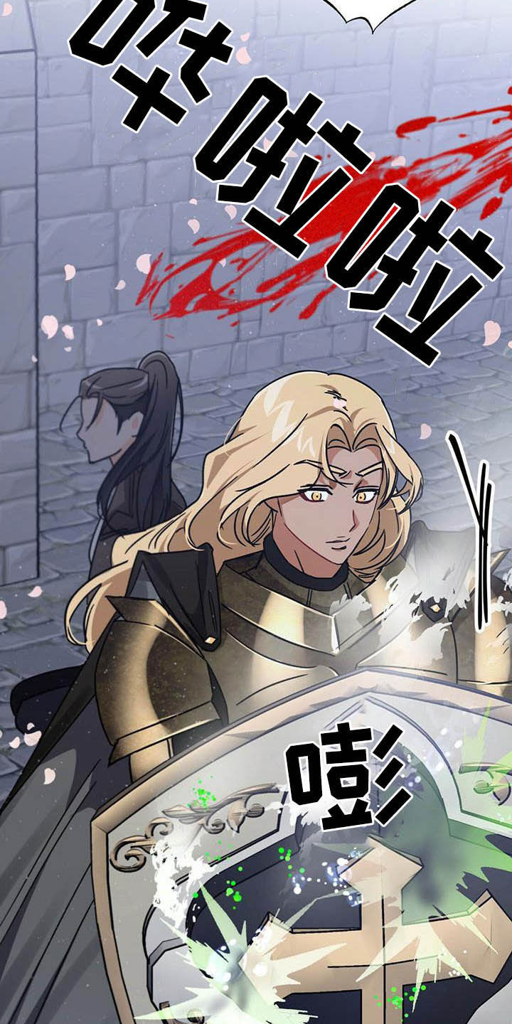 无限钻石 第32章:舍身相救 第31页
