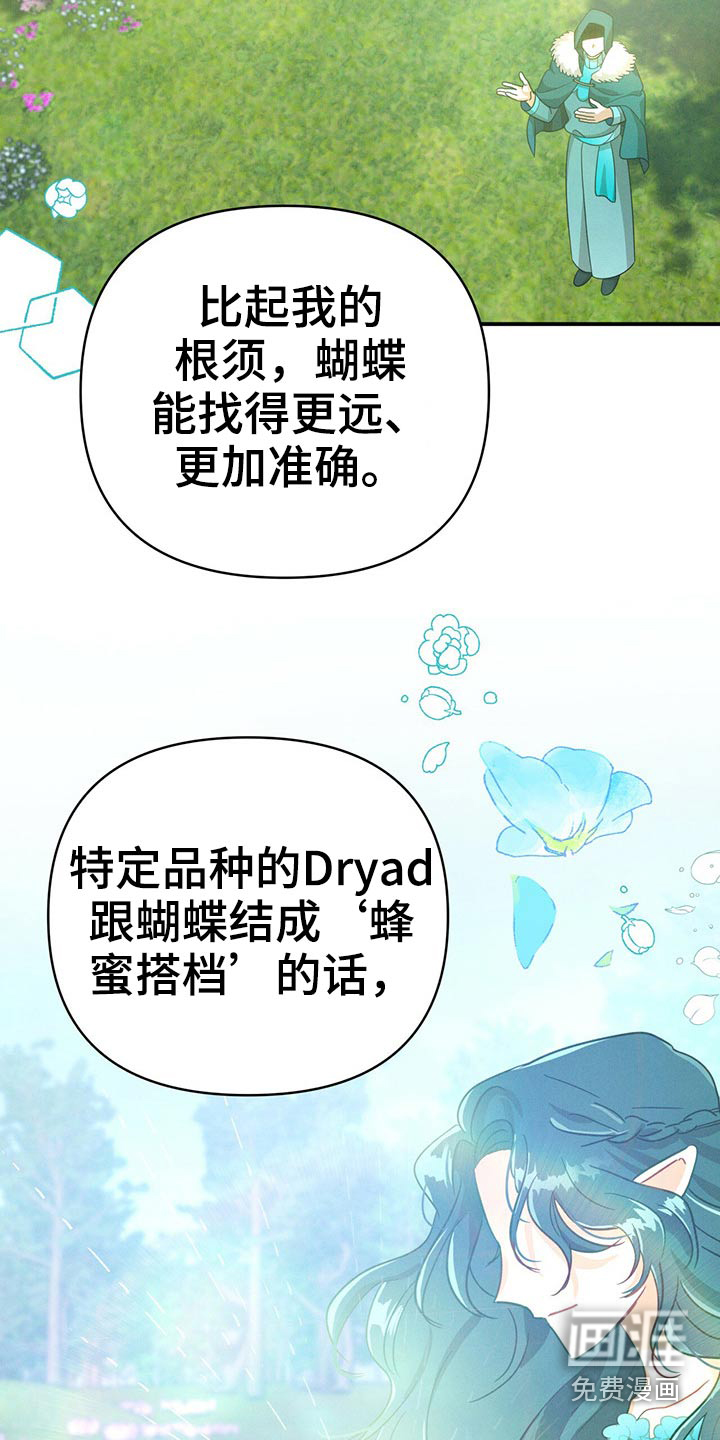无限钻石 第45章:蝴蝶 第11页