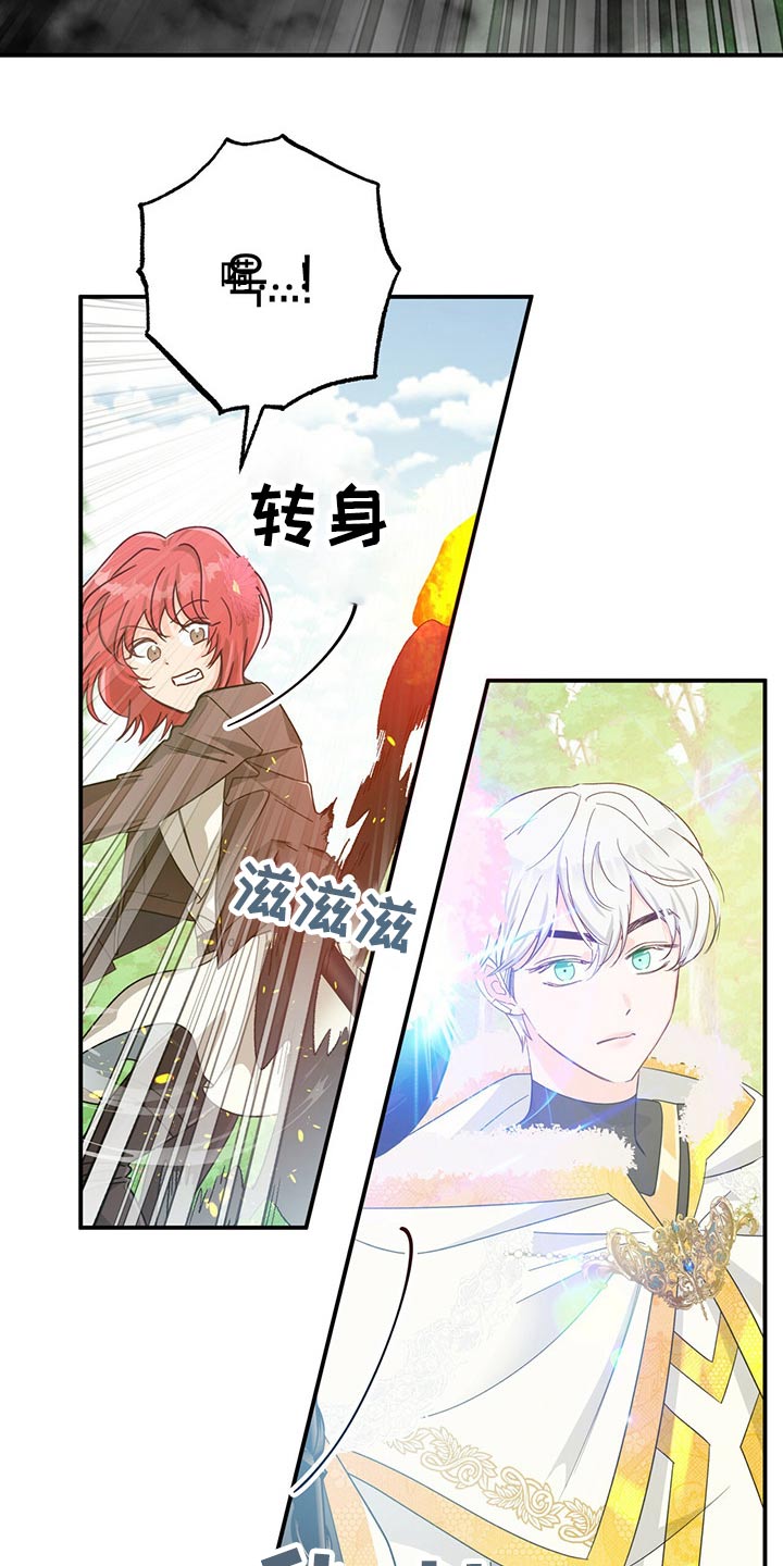 无限钻石 第47章:开始战斗 第28页