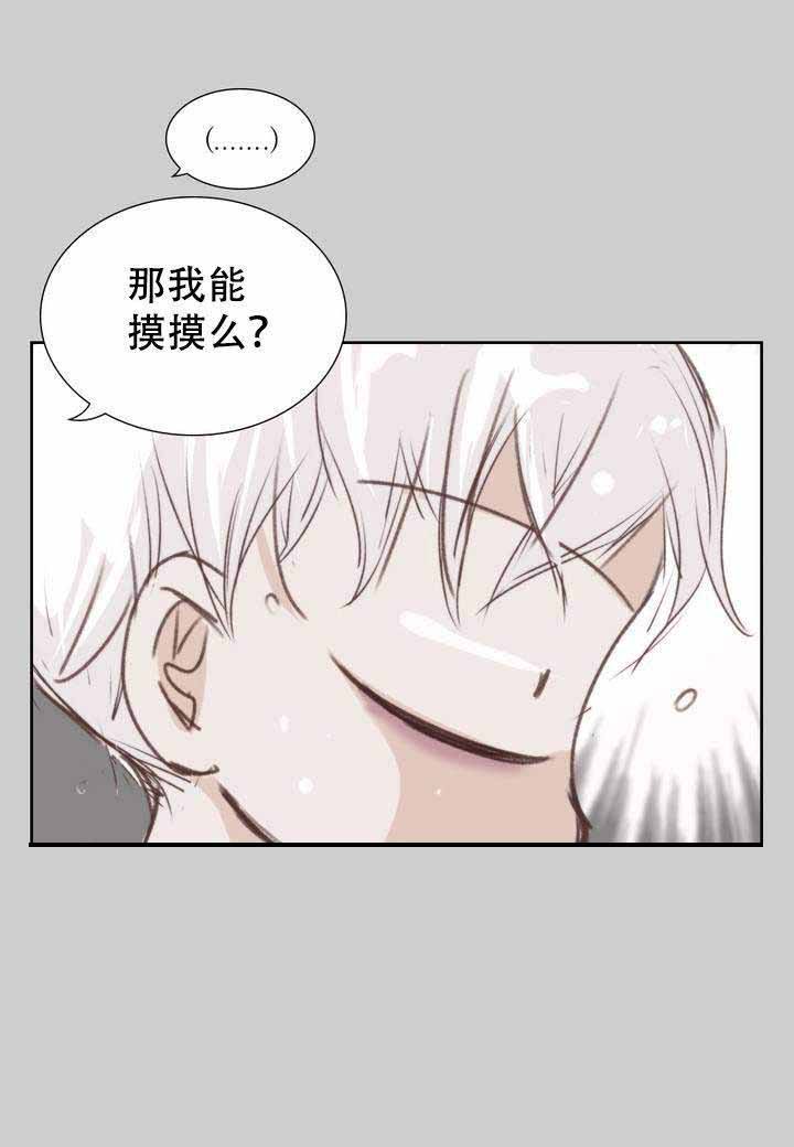 日常事务 第3话 第5页