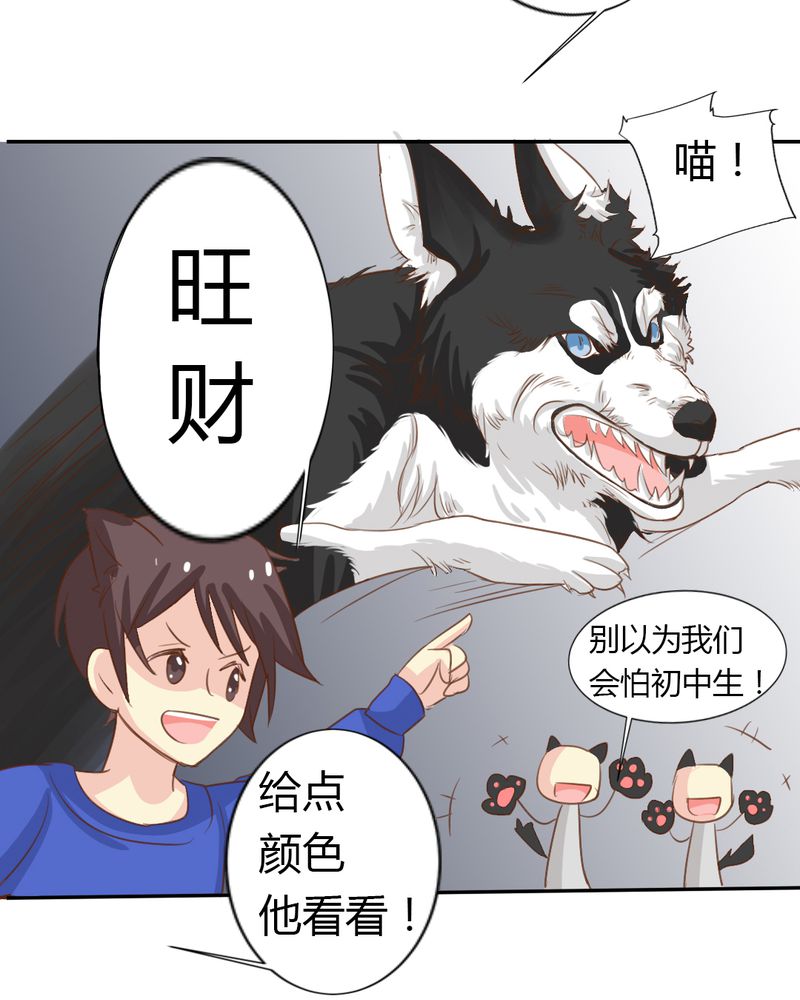 魔力茉莉的奇幻爱情 第2章：茉莉的回忆 第16页