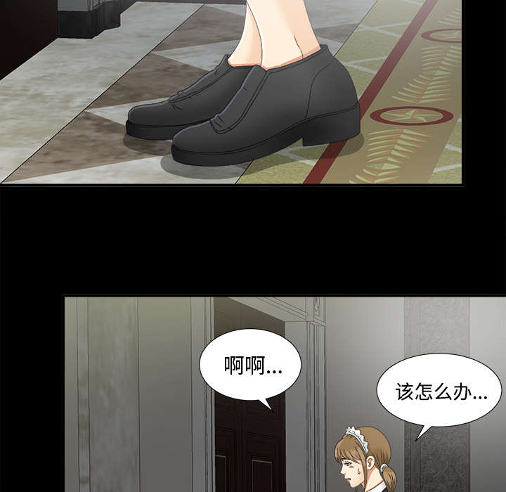 泰山的遗产 第66话 第23页