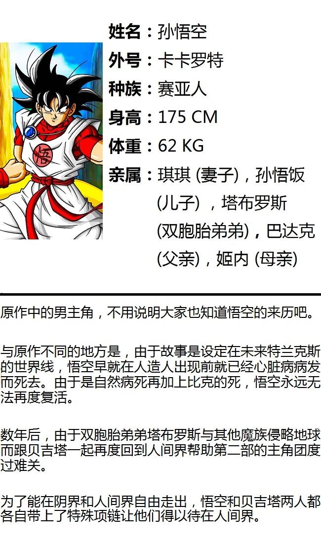龙珠AF 原点 角色介绍+画集 第41页
