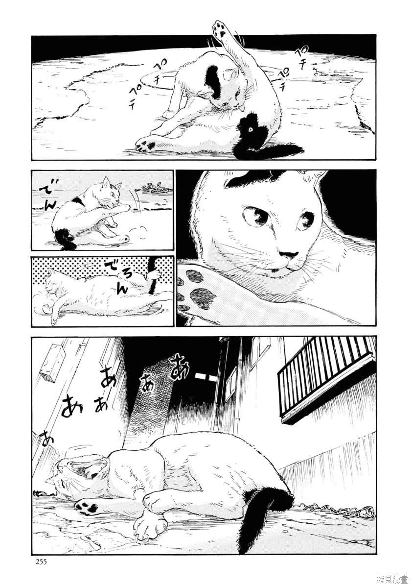 对岸的梅尔 幽冥侦探调查档案 第12话 第40页